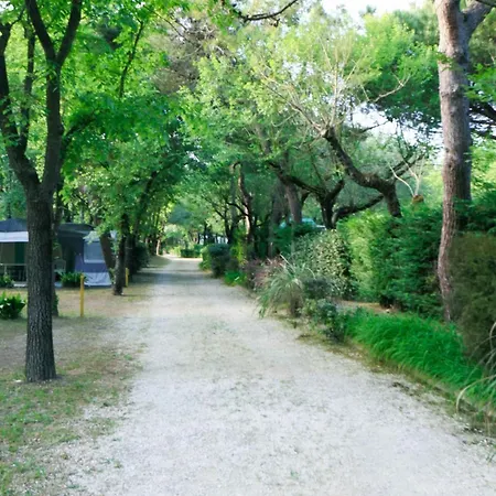 Mobilehomes In 50786