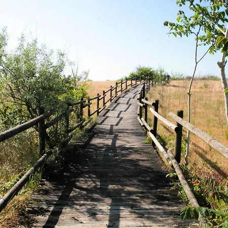 Mobilehomes In 50786 3*